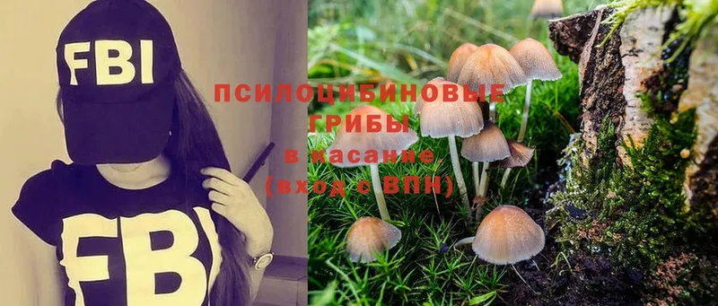 Галлюциногенные грибы MAGIC MUSHROOMS Шлиссельбург