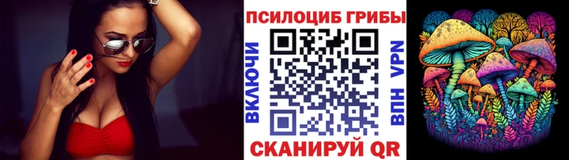 Галлюциногенные грибы прущие грибы  МЕГА ссылка  Шлиссельбург 